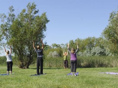 Social Bonds and Exercise: Evidence for a Reciprocal&nbsp;Relationship