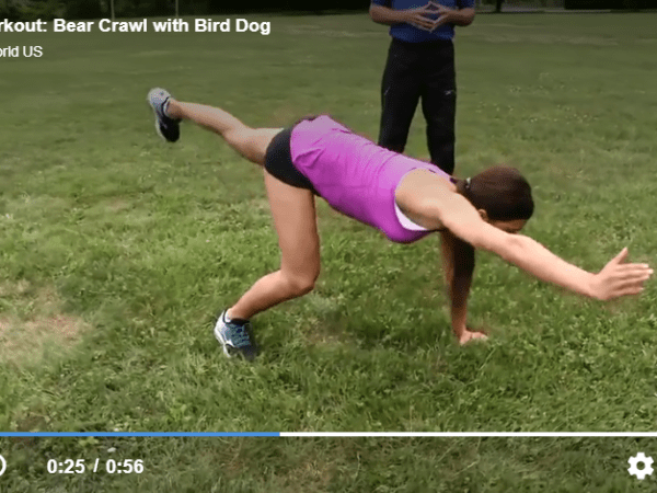 Bear Crawl with Bird&nbsp;Dog