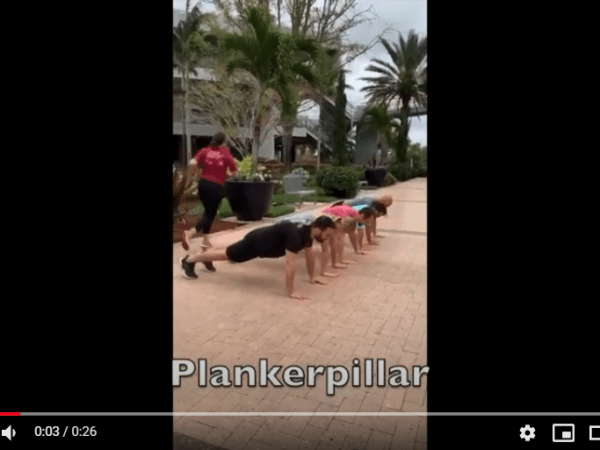 Plankerpillar