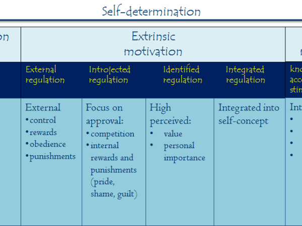 Learning as an intrinsic motivator for physical&nbsp;activity