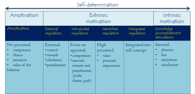 self-determination-amotivation